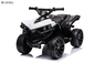 6V Kids Electric Quad ATV 4 ruedas pasear en juguete para niños pequeños hacia adelante