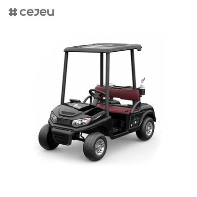 CJ-390 ((espacio suficiente para dos asientos), 12V10AH*1, #550*2, 2.4G, música, usb, mp3, carrito de golf con múltiples opciones de color