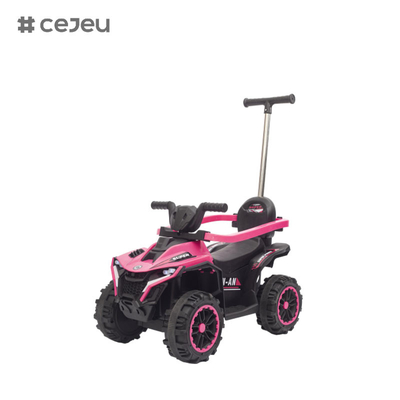 FRY-868-1 Push Handle Niños montan en coche con dosel, guardia de seguridad, educación temprana, niños ATV, niños eléctricos montan en coche