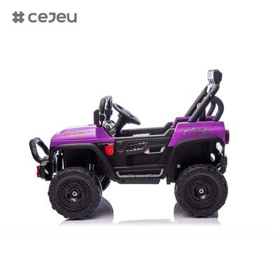 CJ-HP-018SJ 4 ruedas motrices Modelos UTV con motor Buena elección Espacio de almacenamiento trasero 2 velocidades disponibles Colorido Púrpura Negro Rosa Azul Plastico