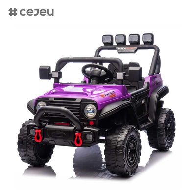CJ-HP-018SJ 4 ruedas motrices Modelos UTV con motor Buena elección Espacio de almacenamiento trasero 2 velocidades disponibles Colorido Púrpura Negro Rosa Azul Plastico