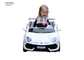 Los niños dos viajan en automóvili el paseo eléctrico 6V4AH en Toy Car With Parallel Swing